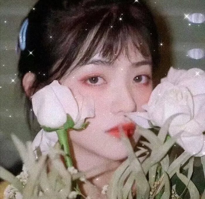 燧石行动